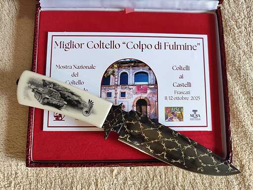 Image: Główna nagroda na wystawie we Włoszech